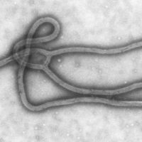 Произошел взрыв в научном центре, где хранится вирус лихорадки Эбола