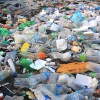 Решение проблемы загрязнения окружающей среды пластиком спасет мир от экологической катастрофы