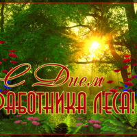 «ЭкоГрад» поздравляет всех работников леса с Днем лесника