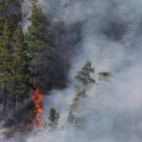 В МЧС сообщили о более чем 15 тысячах природных пожаров в России в 2021 году