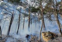 Пожар в заповеднике Северной Осетии не удаётся погасить уже шесть дней