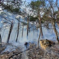 Пожар в заповеднике Северной Осетии не удаётся погасить уже шесть дней