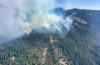 Второй по величине лес США охвачен огнём