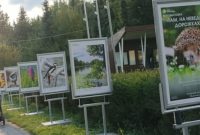 Там, на неведомых дорожках: в Бирюлёвском дендропарке открылась фотовыставка, посвящённая экоцентрам и природе Москвы