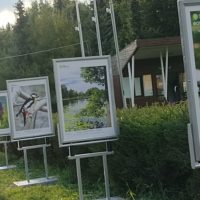 Там, на неведомых дорожках: в Бирюлёвском дендропарке открылась фотовыставка, посвящённая экоцентрам и природе Москвы