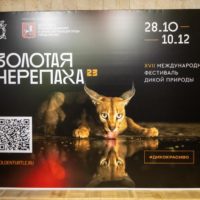 В Москве состоялось открытие XVII Международного фестиваля дикой природы «Золотая черепаха»