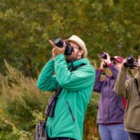 Лунь, осоед, нырок: порядка 60 видов птиц смогли сфотографировать участники Кубка Столицы «Осень-2023»