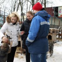 Ольга Тимофеева: «Комитет получил отрицательное мнение Генпрокуратуры об уполномоченных по защите животных»